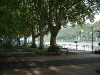 Koblenz - Deutsches eck