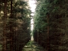 2003-10_01