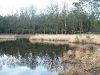 2004-02-15_14