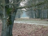 2004-02-29_16