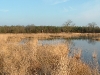 2004-03-07_01