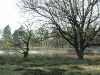 2007-04-14_17.56.14