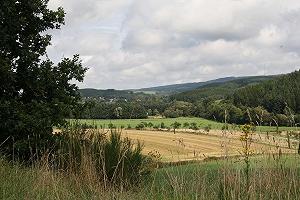 Westeifel